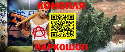 крисы Краснодар