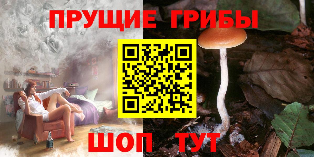 Псилоцибиновые грибы Cubensis Калининград