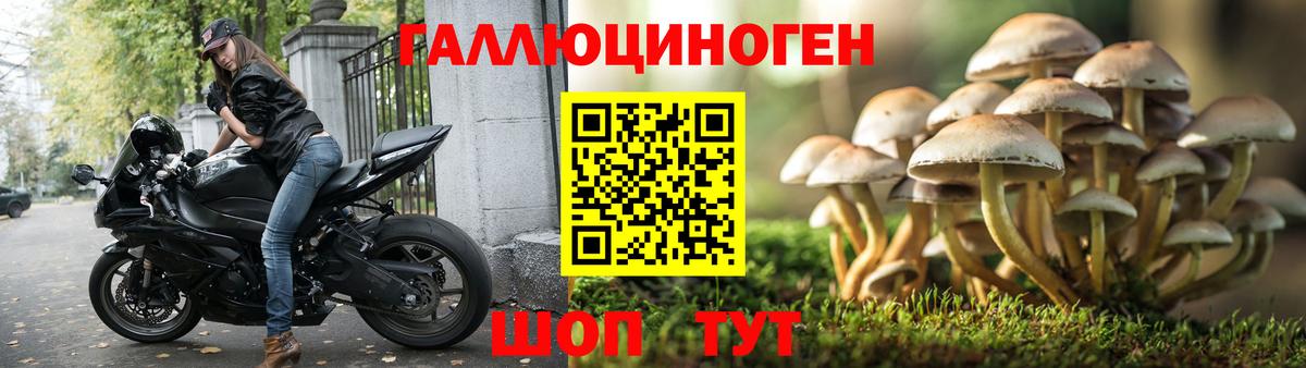 Псилоцибиновые грибы Cubensis  Вход с VPN  Калининград 
